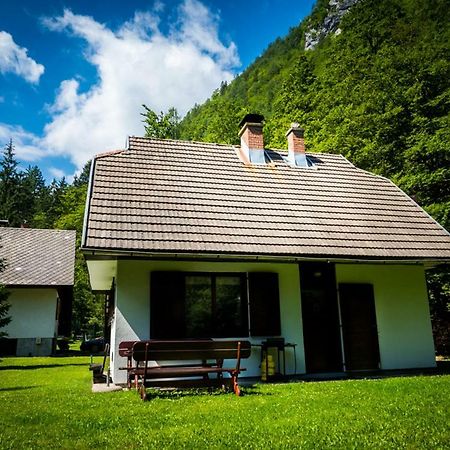 Pocitniska Hisa Radovna Villa Zgornja Radovna Exteriör bild