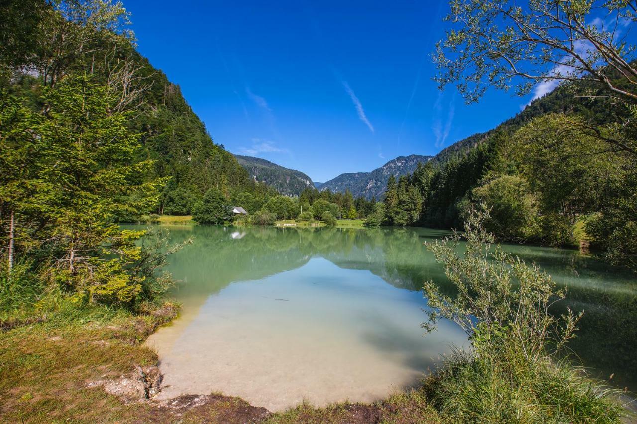 Pocitniska Hisa Radovna Villa Zgornja Radovna Exteriör bild