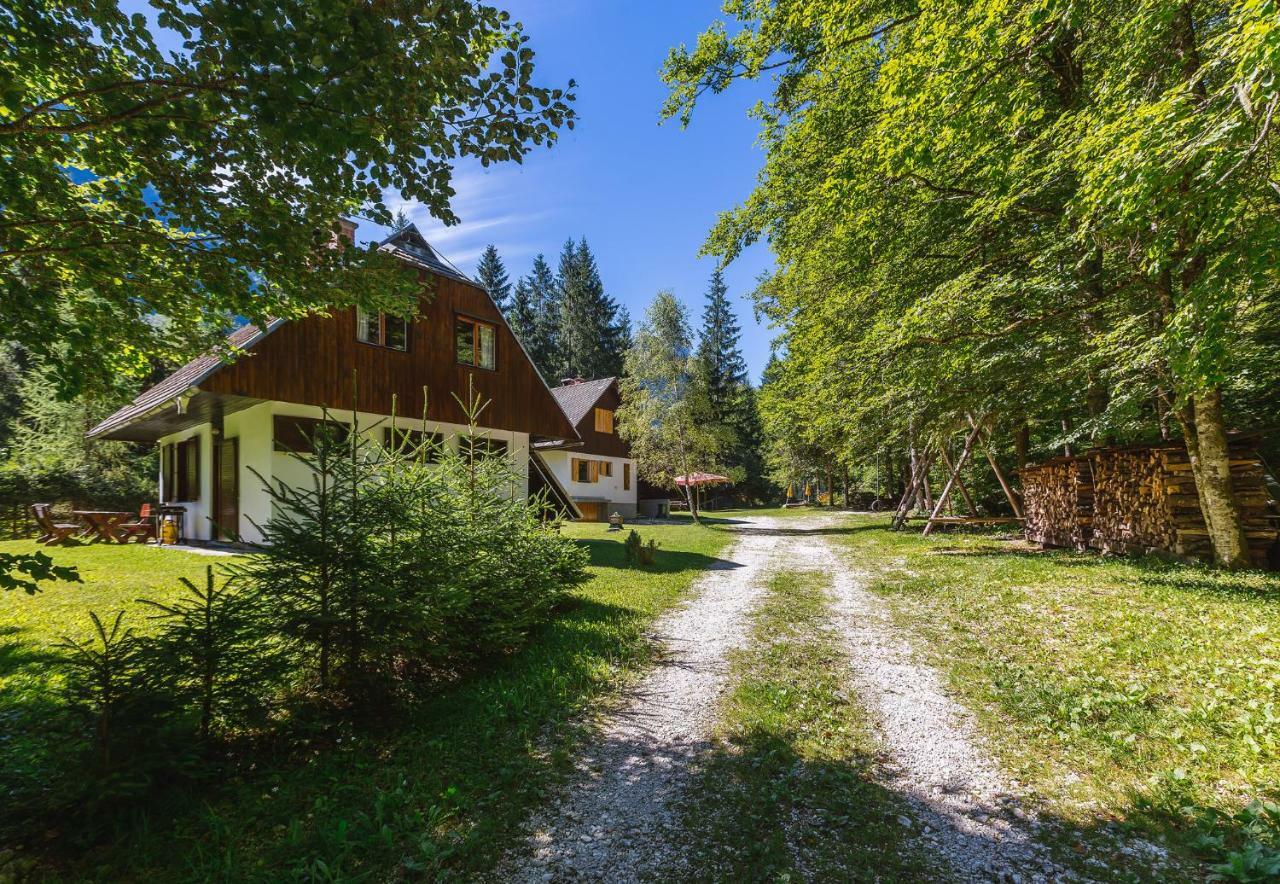 Pocitniska Hisa Radovna Villa Zgornja Radovna Exteriör bild