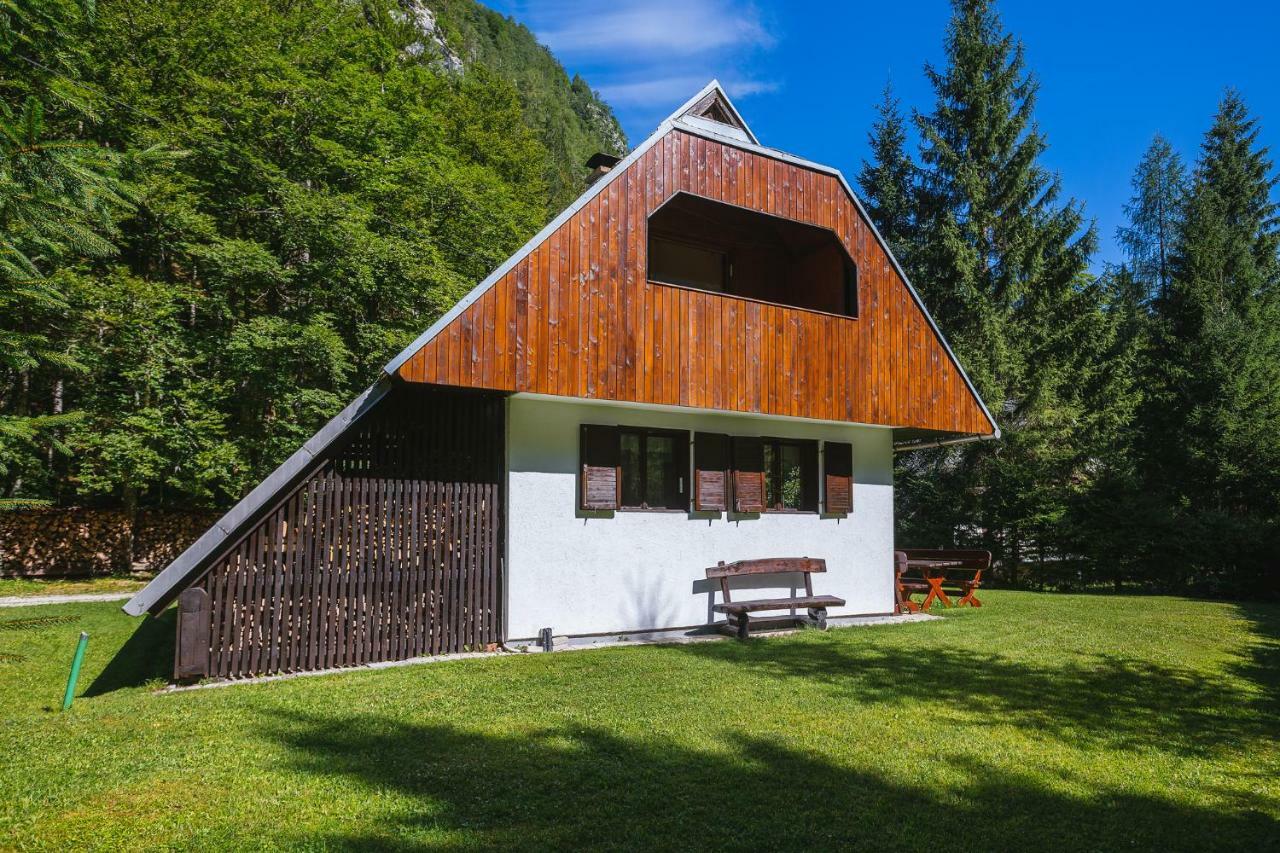 Pocitniska Hisa Radovna Villa Zgornja Radovna Exteriör bild