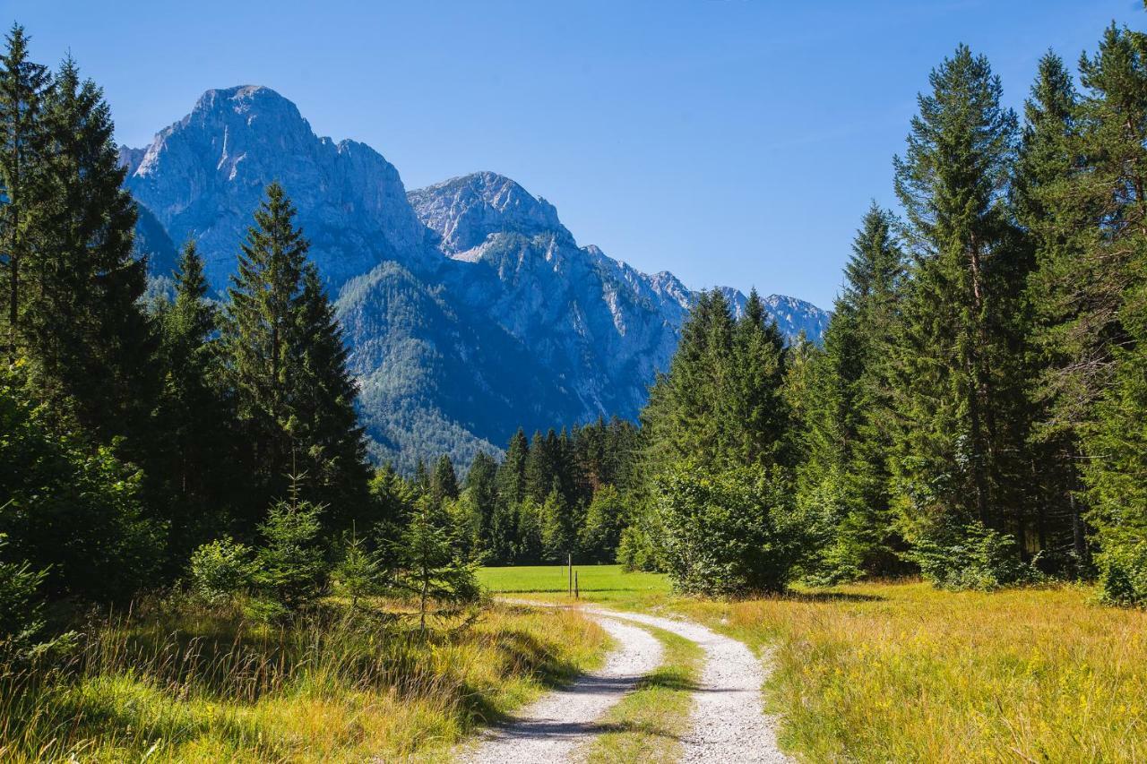 Pocitniska Hisa Radovna Villa Zgornja Radovna Exteriör bild